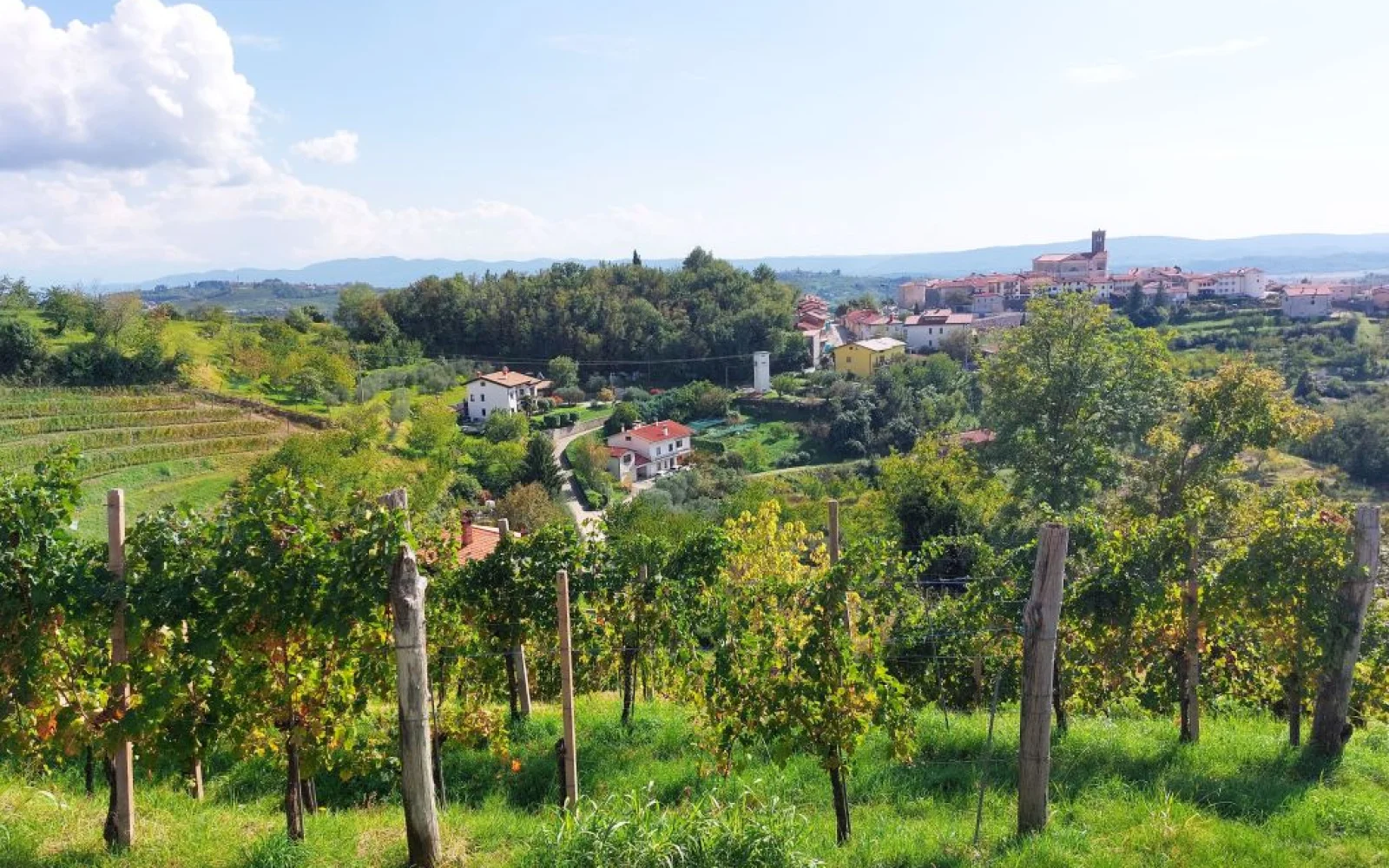 Blick auf die "Toskana Sloweniens"