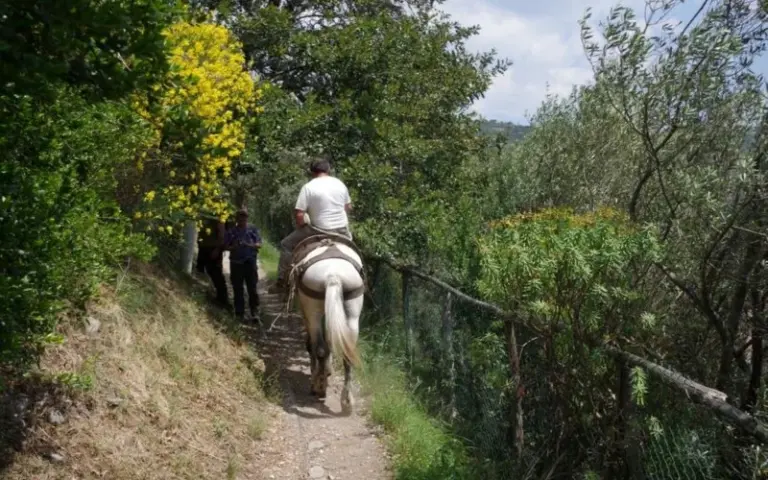 Küstenwanderung auf dem „Götterpfad“ 