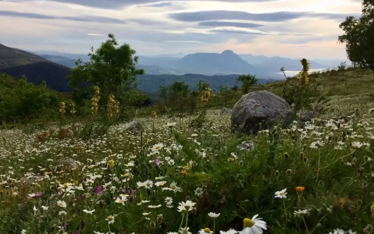 Genusswanderung im Madonien-Naturpark