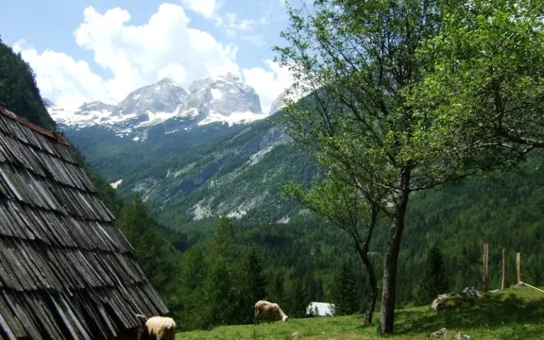 Zeit zur freien Verfügung und Besuch eines Bergdorfes