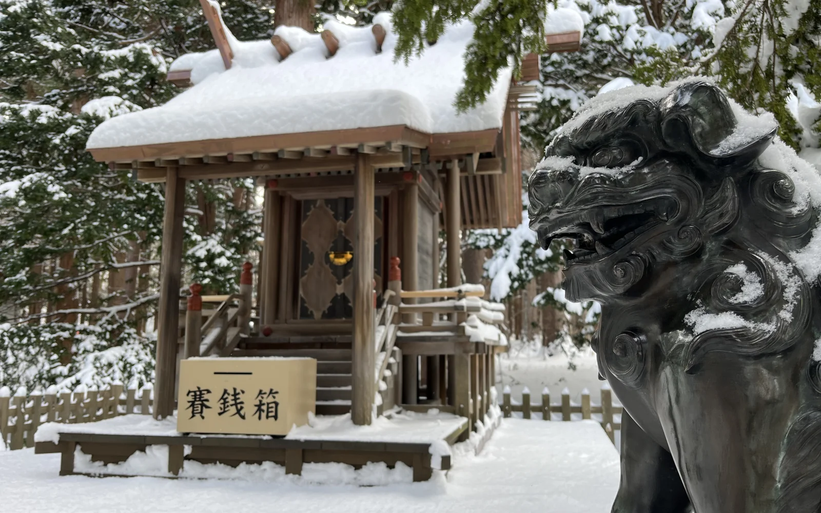 In Sapporo gib es viel zu erkunden - Wir führen dich zu den Highlights