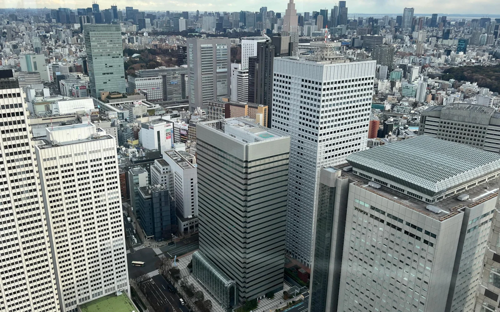 Tokio, entdecke die moderne Millionen-Metropole mit einem lokalen Guide.