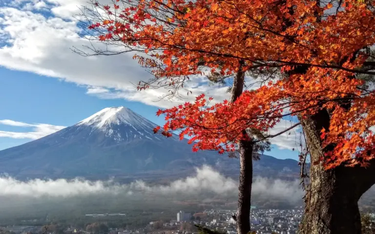 Blick auf den Fuji in leuchtender Pracht inkl. Bootsfahrt auf dem See Ashi
