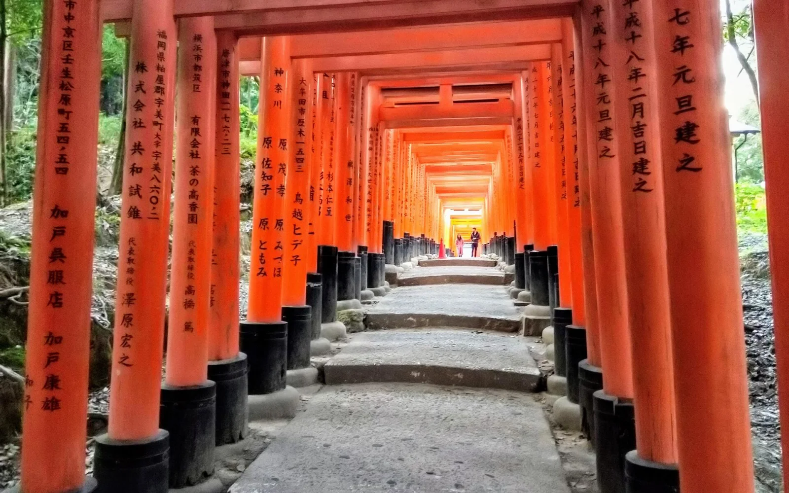 Kyoto entdecken zwischen Tempeln und historischen Gassen