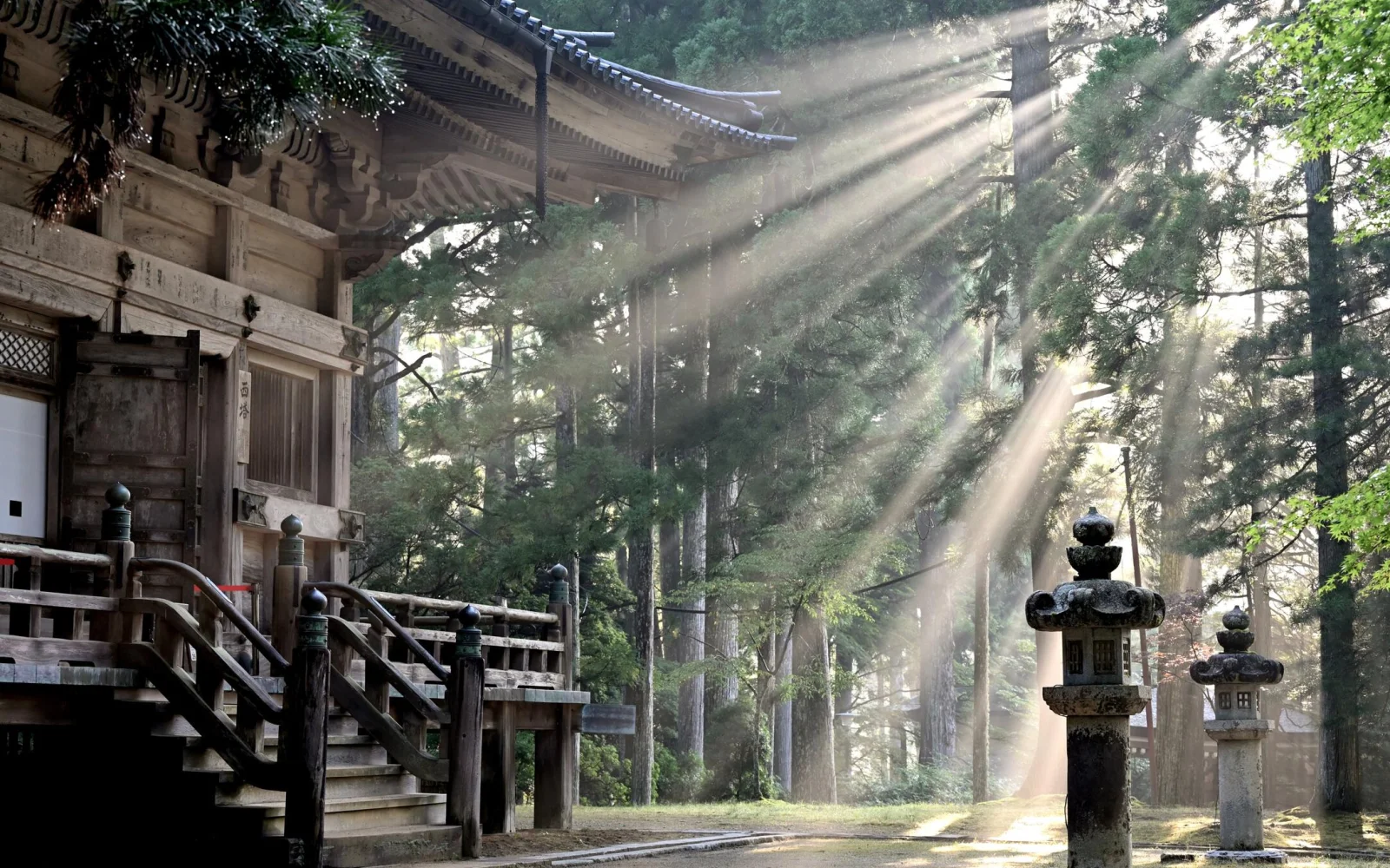 Wandeln im mystischen Okuno-in Friedhof in Koyasan