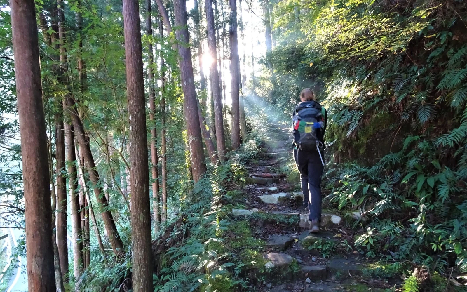 Waldbaden auf dem Kumano-Kodo-Pilgerweg