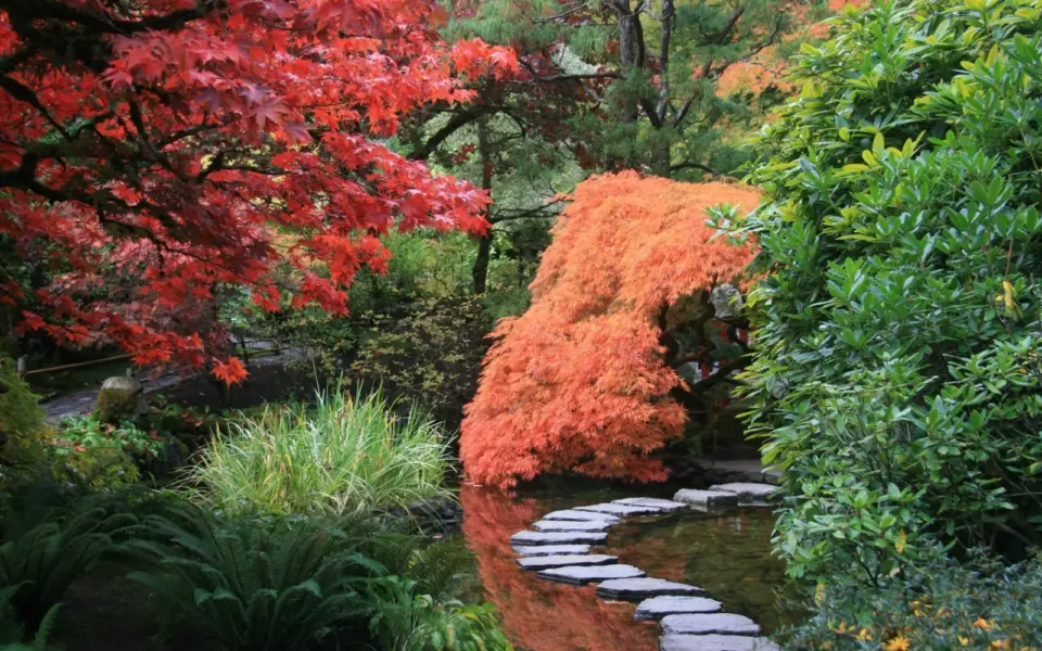 Die Poesie des Weges – Eine Wanderreise durch Zentraljapan