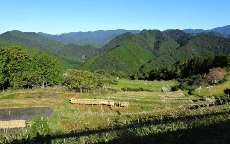 Erste Wanderetappe auf dem Pilgerweg Kumano Kodo