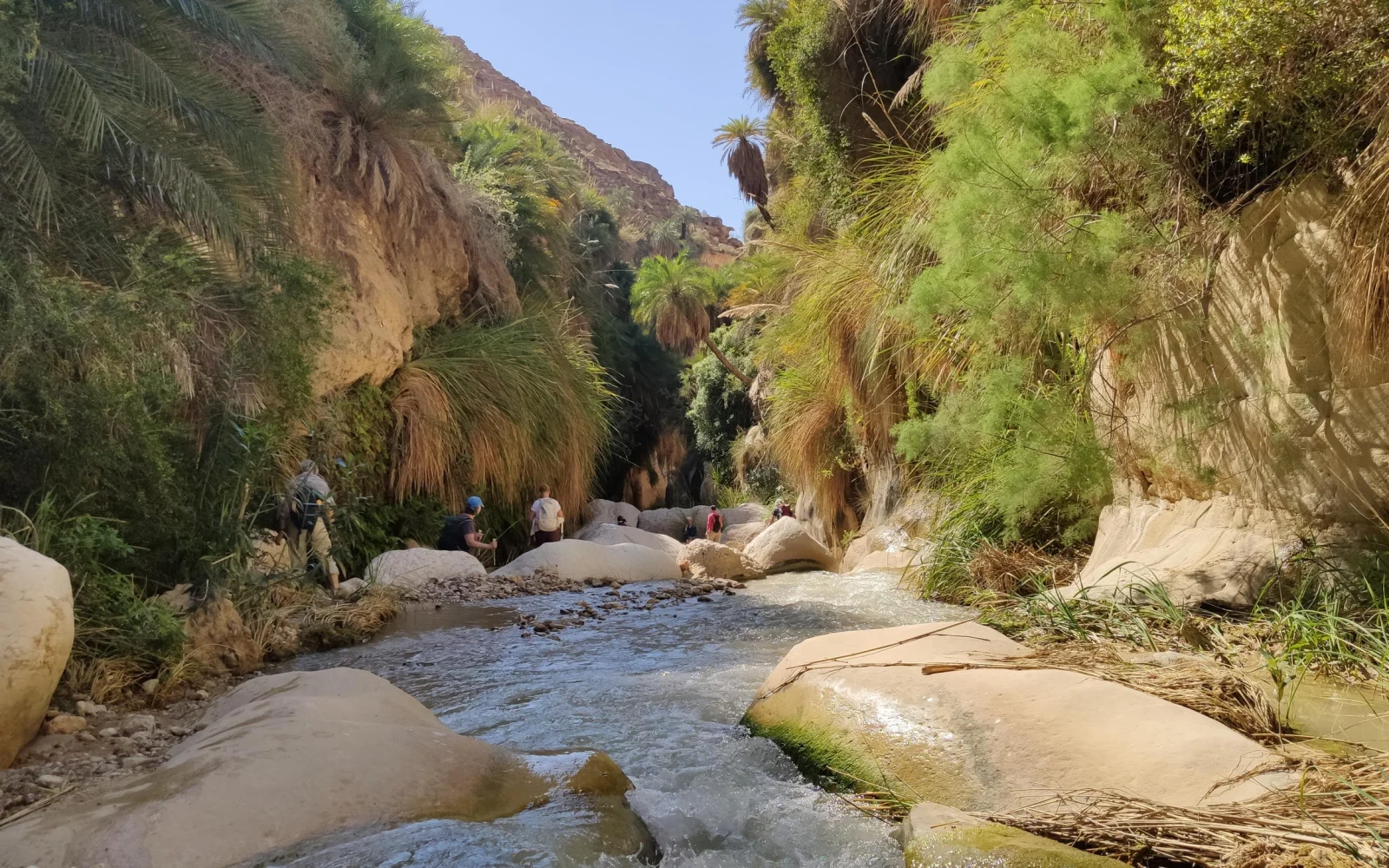 Das Wadi Bin Hamad lernen Sie bei einer kurzen Wanderung kennen