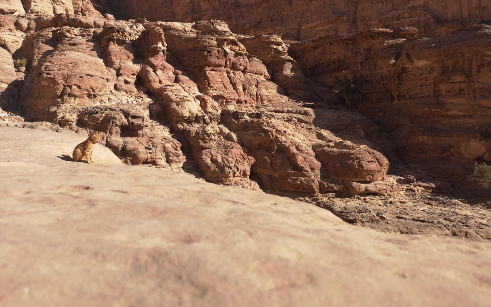 Petra bietet neben eindrucksvollen Bauten auch weitläufige Wandergebietet