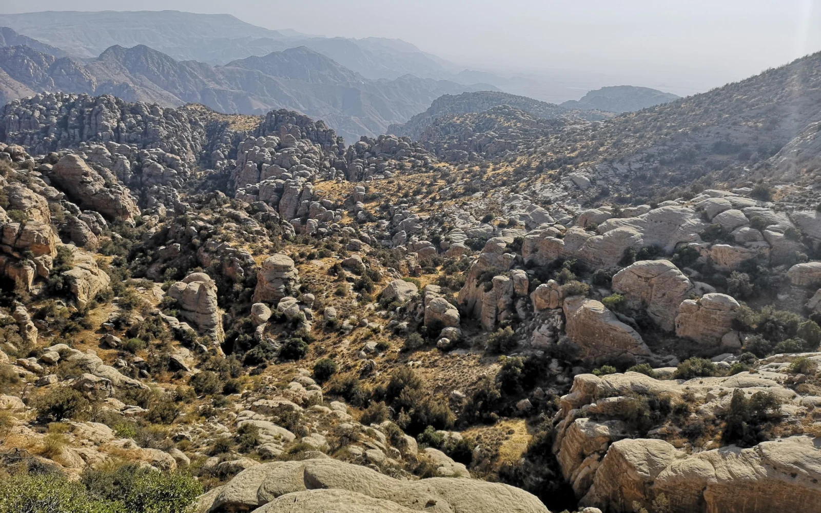 Der Dana-Nationalpark beeindruckt mit reicher Flora und Fauna