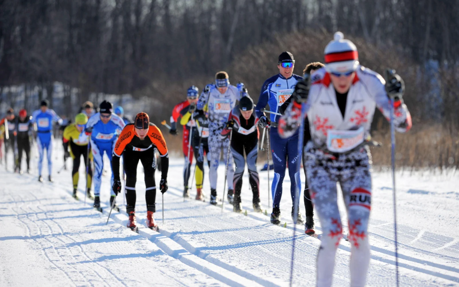 Am ersten Samstag der Reise: Gatineau Worldloppet (Klassik Rennen)