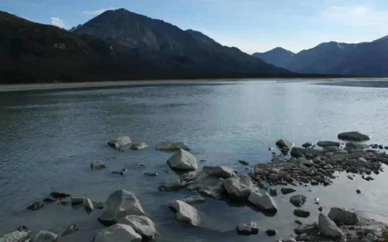 Fahrt in das Kluane-Gebiet zum Sheep Mountain