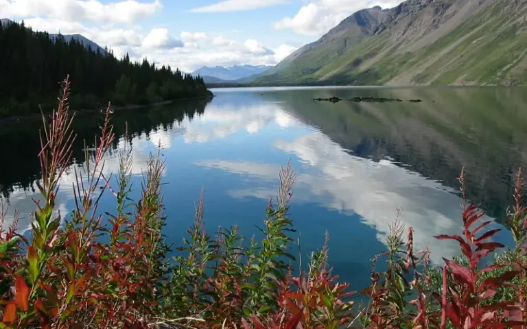 Wandertage im Kluane-Nationalpark