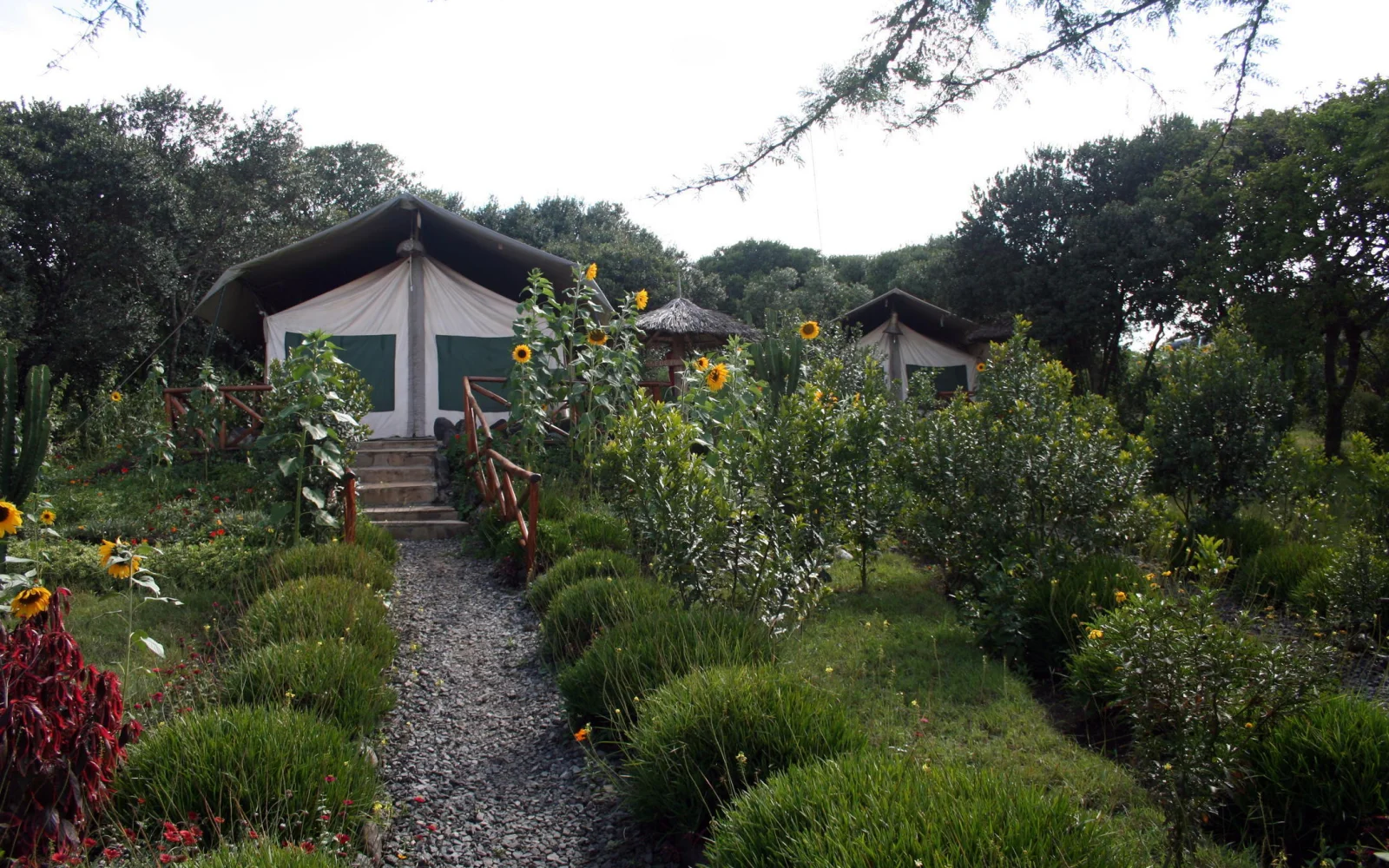 Krafttanken nach den Wanderungen in der idyllischen Rhino Watch Lodge