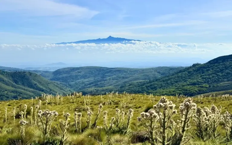 Höhenluft schnuppern – Wanderung in den Aberdares