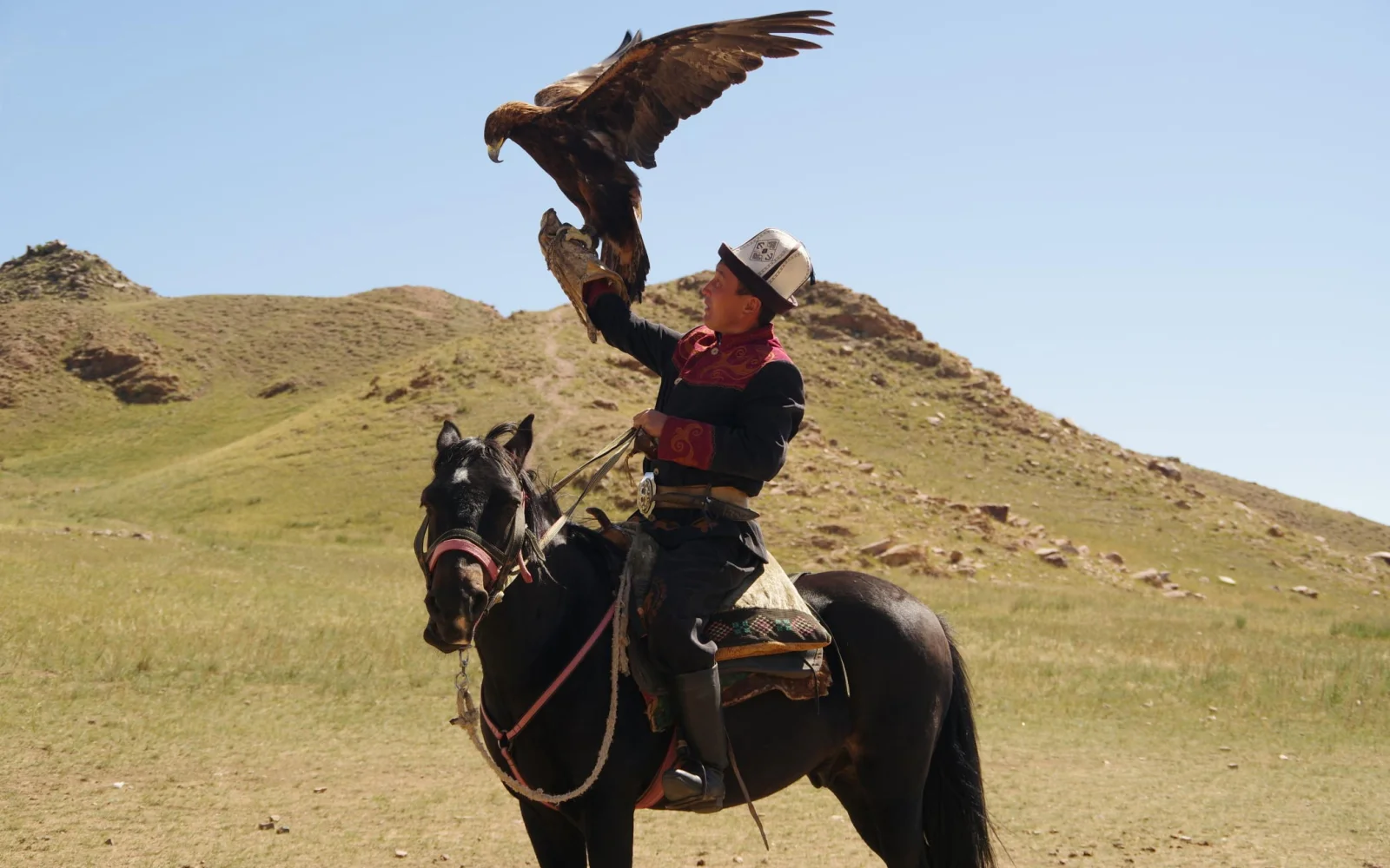 Auf der Reise treffen Sie den Adler-Meister, der Ihnen interessante Fakten über diese erstaunlichen Vögel erzählt.