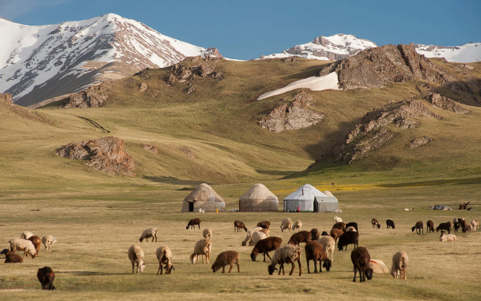 Jurten, schneebedeckte Berge und Tiere - die Hauptmerkmale des Nomadenlebens sind prägend für die kirgisischen Landschaften