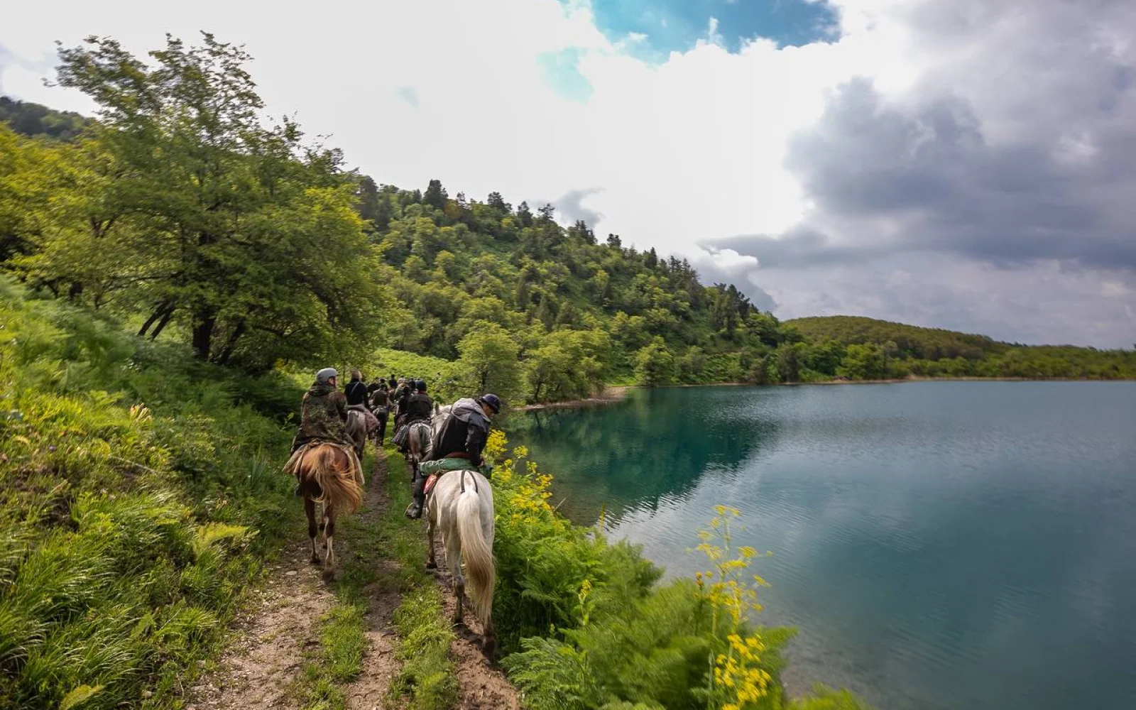 Während des Trekkings übernehmen Pferde den Transport des großen Gepäcks