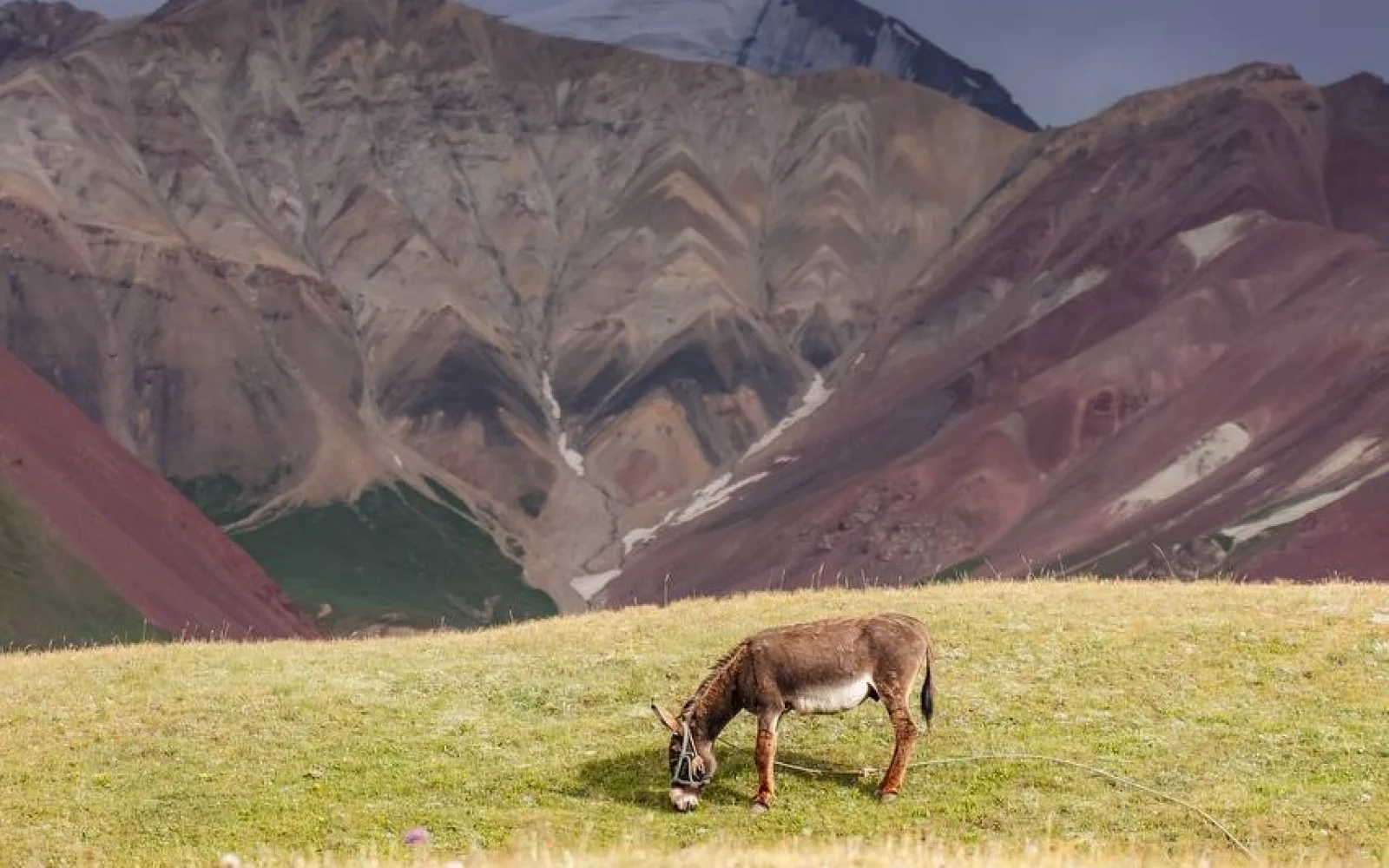 Unterwegs in den bunten Bergen des Pamir