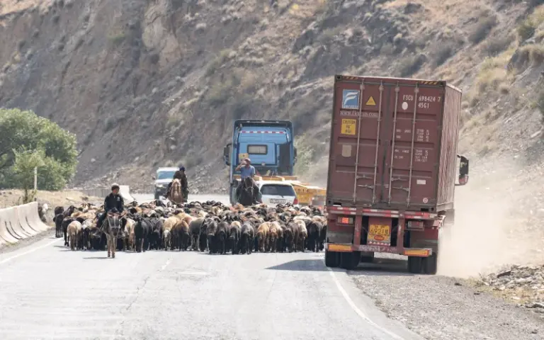 Rückfahrt nach Osch