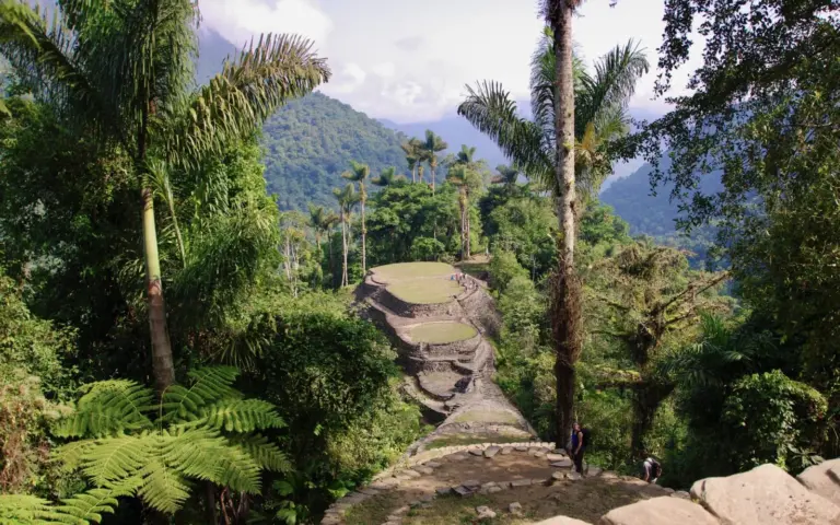 Die Ciudad Perdida (Verlorene Stadt) eingewachsen im dichten Dschungel