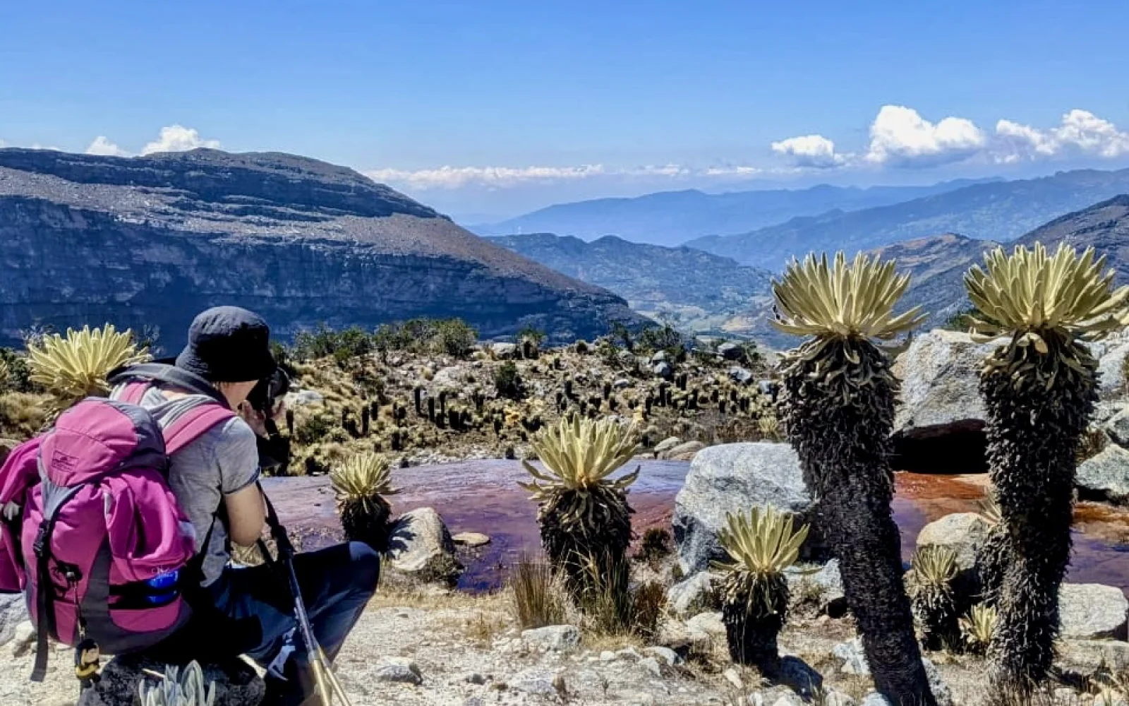 Bunte Lagunen und eine einzigartige Vegetation erwarten Sie im Hochland 