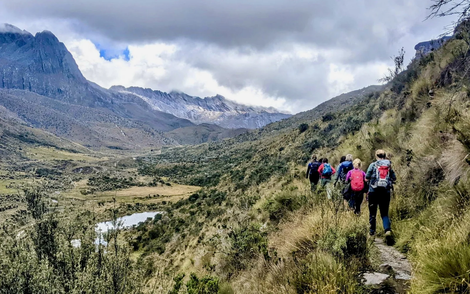 Karge Hochgebirgssteppe im Cocuy-Nationalpark