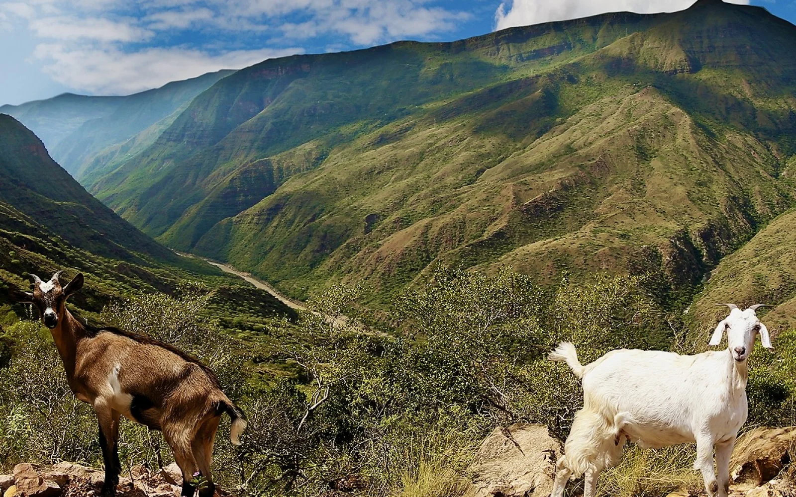 Mit dem Fahrrad durch den 3.000 Meter tiefen Chicamocha-Canyon