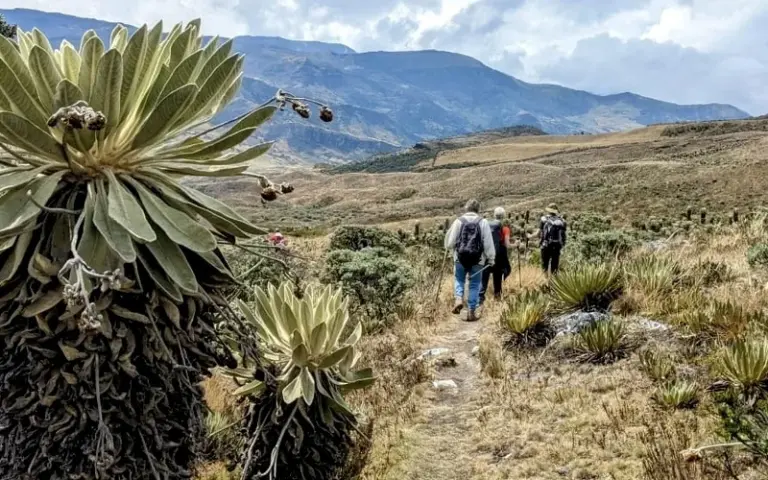 Akklimatisierungswanderung im Gebirge Sierra Nevada del Cocuy-Gebirge