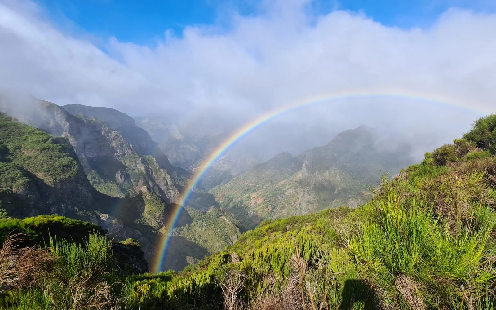 Madeira vereint sechs verschiedene Mikroklimata