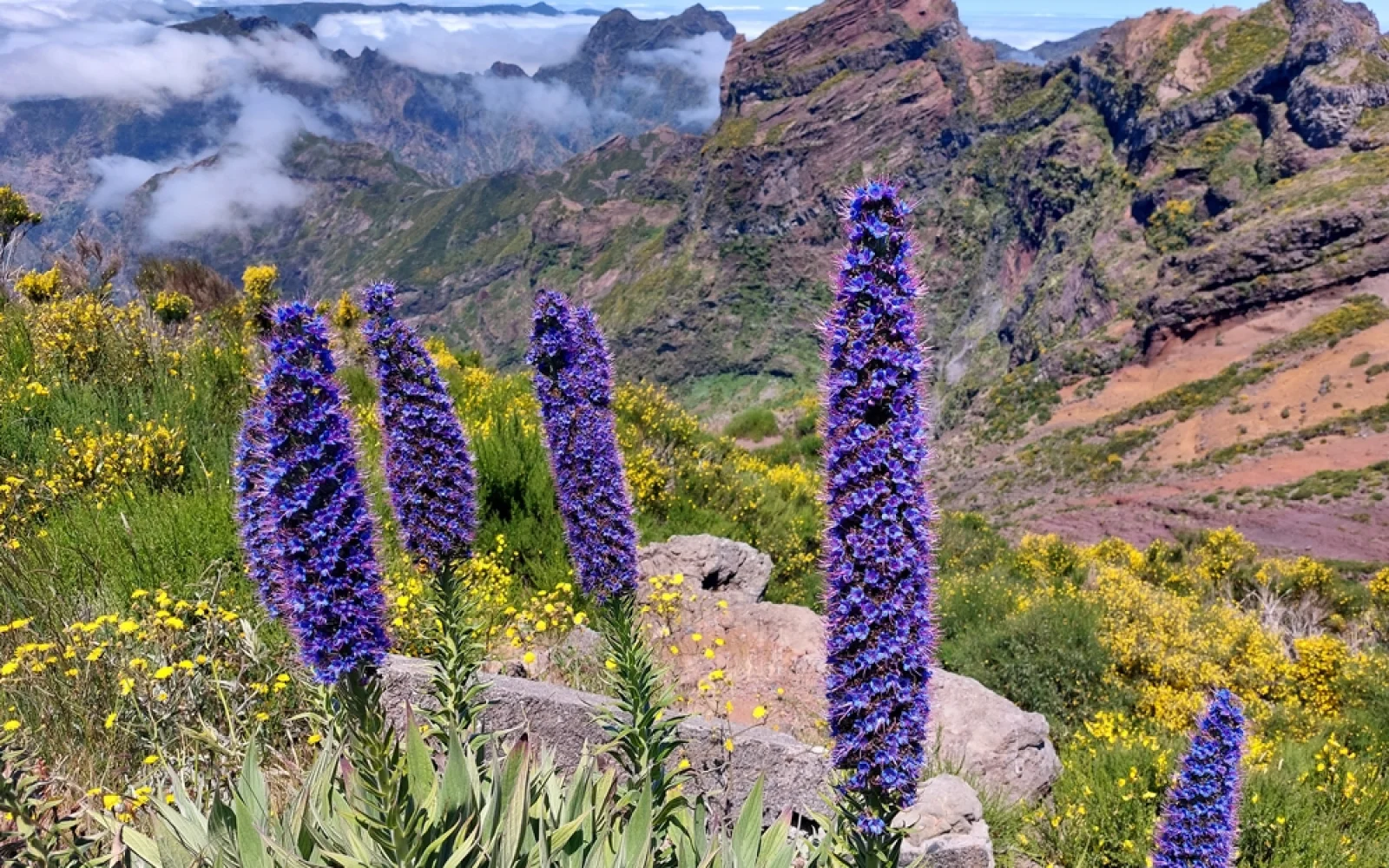 Zum dritthöchsten Berg der Insel, dem Pico do Arieiro 