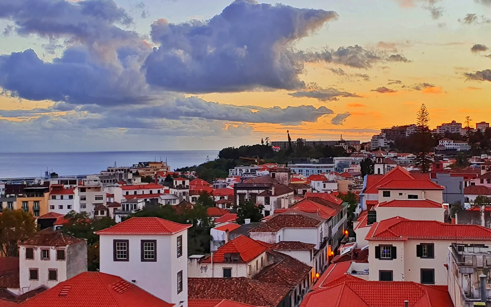Blick über die Dächer von Funchal