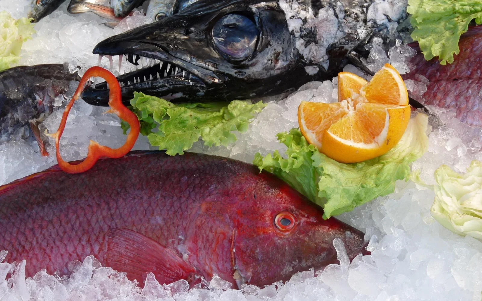 Inselspezialitäten Degenfisch und Roter Schnapper