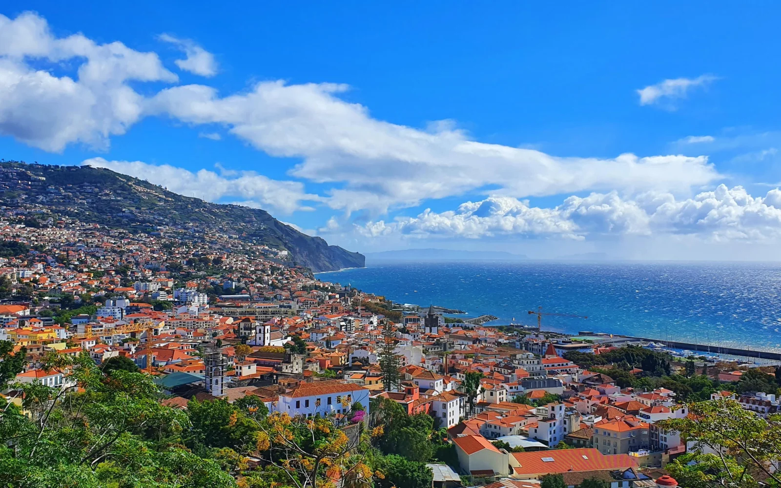 In der Inselhauptstadt Funchal gibt es so einiges zu entdecken, wir zeigen es Ihnen.