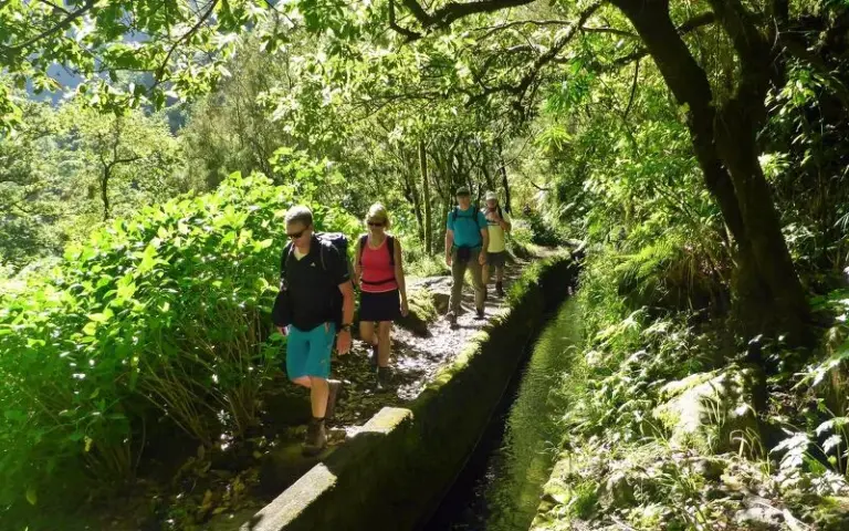 Lorbeerwald, Levada und ein atemberaubendes Tal (Hotelwechsel)
