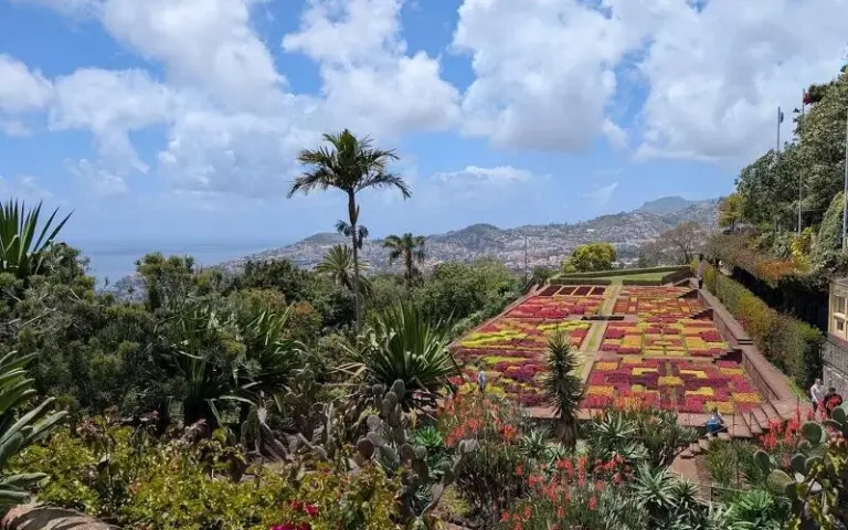 Rundgang durch Funchal mit Obst- und Fischmarkt und Abschiedsessen