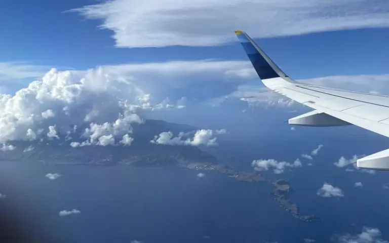 Heimflug