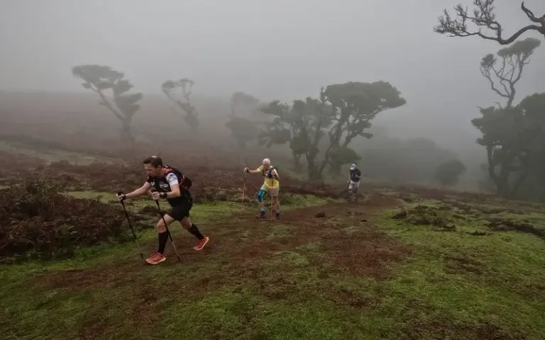 5. Lauftag: Hochplateau, Lorbeerwald & 25 Fontes – Madeira pur