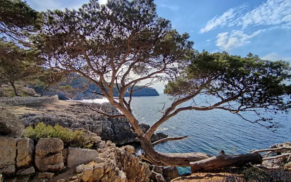 Mallorca Wanderreise – Bergpfade mit Meeresbrise