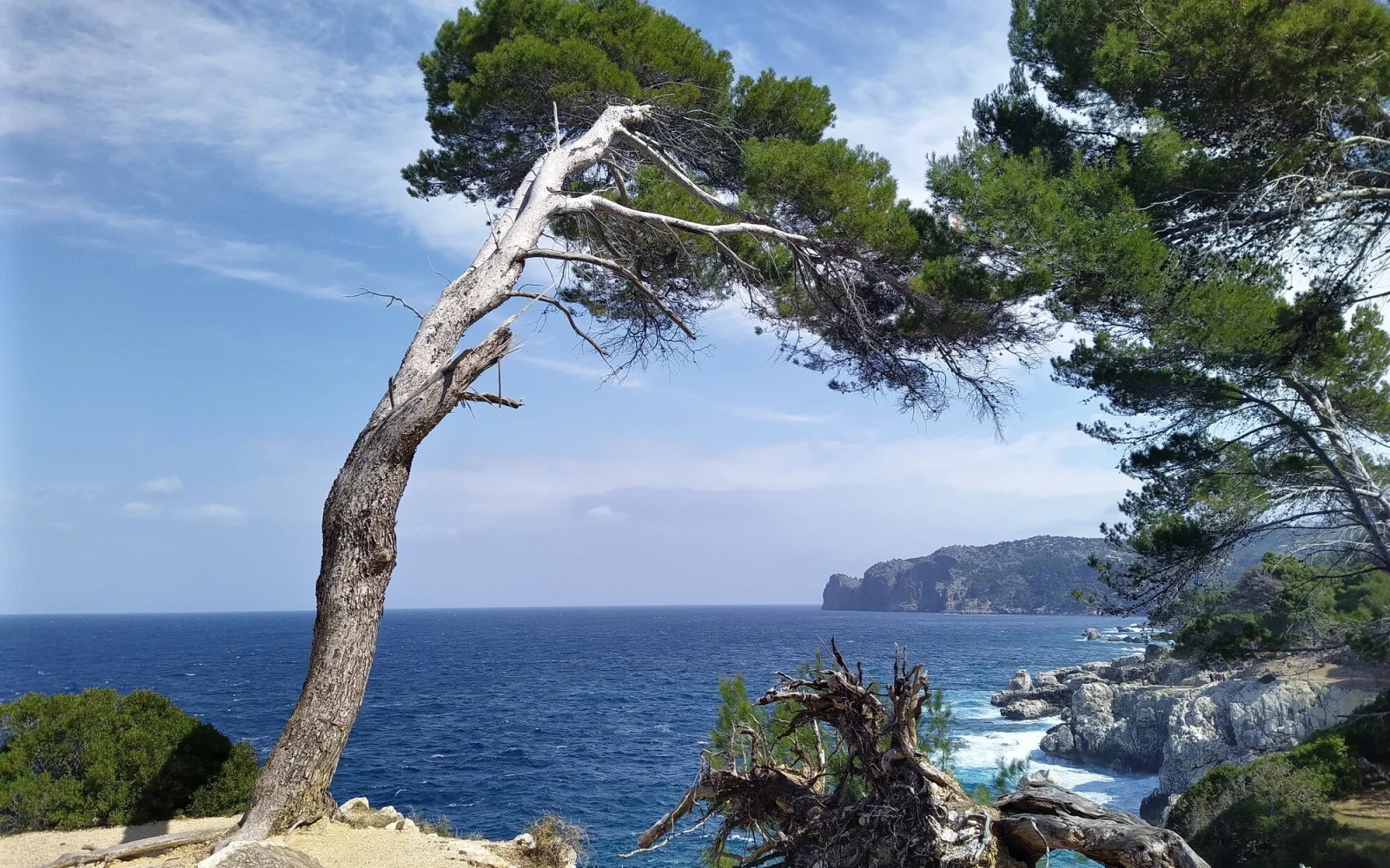 Mit eine der schönsten Küstenwanderungen: Deia nach Soller