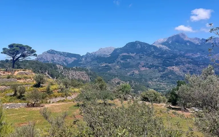 Spaziergang durch Deia und Küstenwanderung nach Sóller