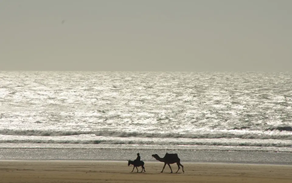 Reisebaustein: Essaouira und Atlantikküste Marokkos