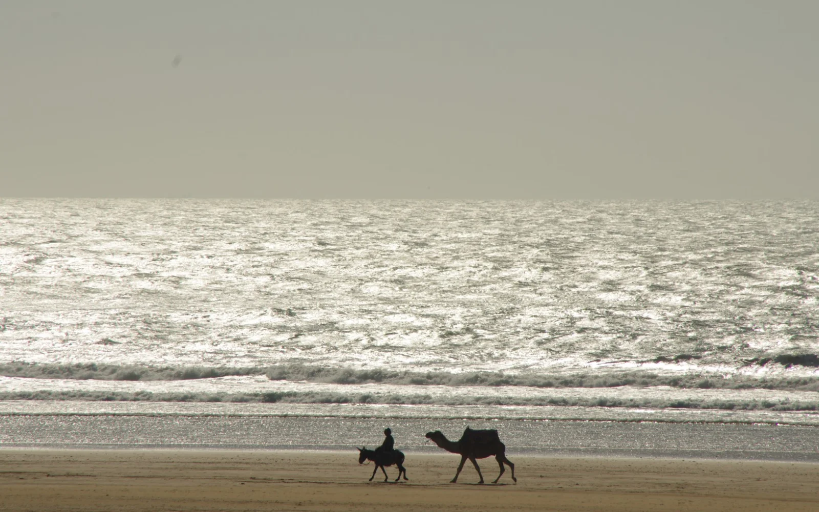 Der Strand von Sidi Kaouki ist besonders am Abend durch besondere Lichtverhältnisse besonders stimmungsvoll