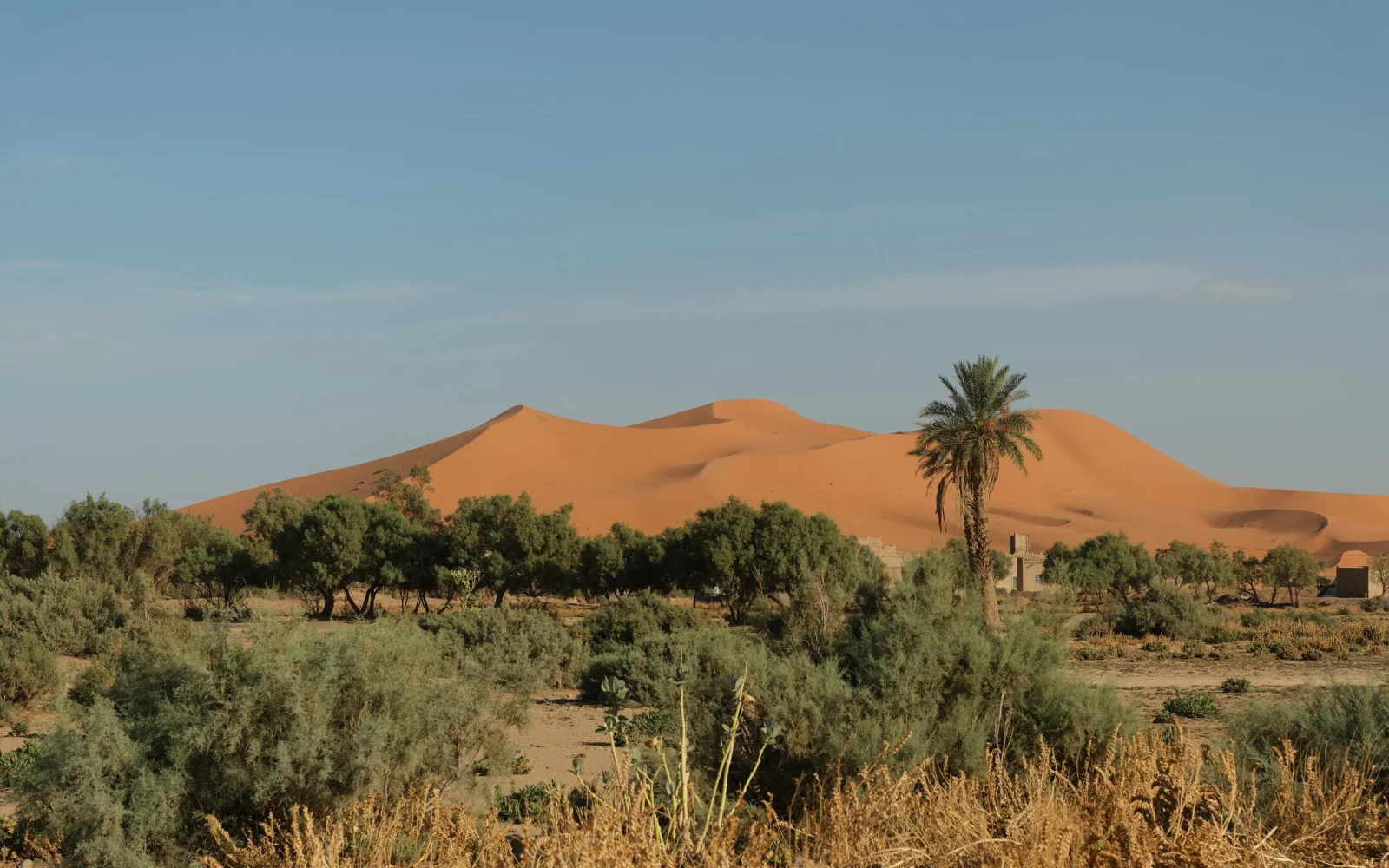 Ausklang der Reise an den höchsten Dünen Marokkos - Erg Chebbi