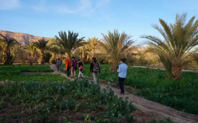 Grünes Oasental, Zagora und Besichtigung der Kasbah Tamnougalt