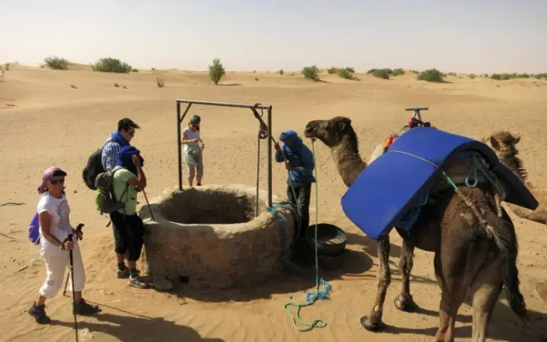 Wüstentrekking: Wanderung durch die Sahara und Fahrt nach Nkob