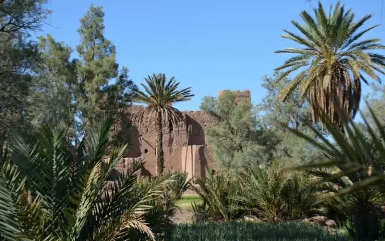 Wanderung durch die Canyons von Taghia und Kasbah-Besichtigung