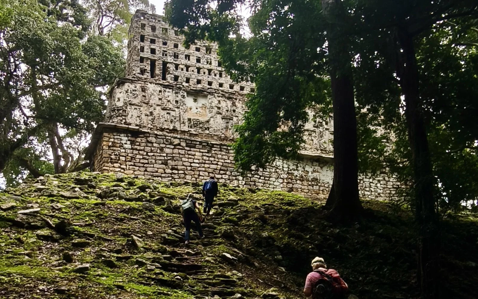 Aktive Erkundung der kaum besuchten Maya-Stadt Yaxchilan im Dschungel