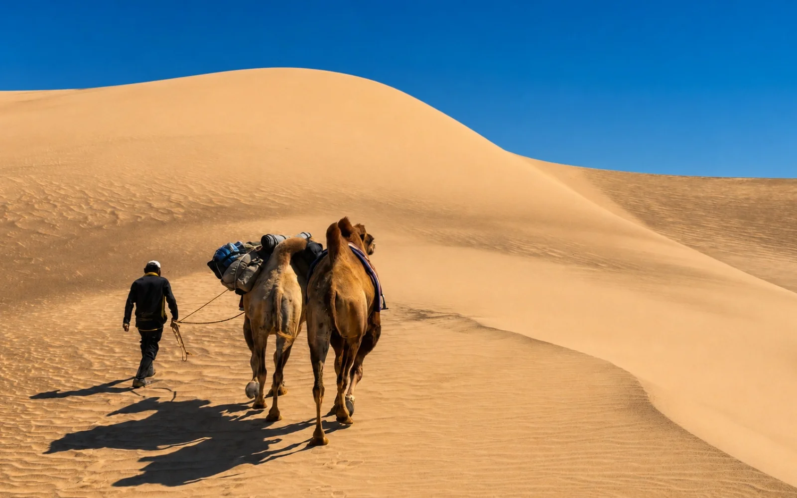 Die Wüste Gobi zählt zu den größten Wüsten der Erde und ist Teil Ihrer Tour